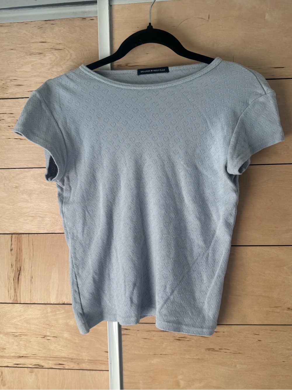 Brandy Melville Light Blue Textured Short Sleeve Top
